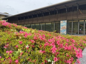 企画展